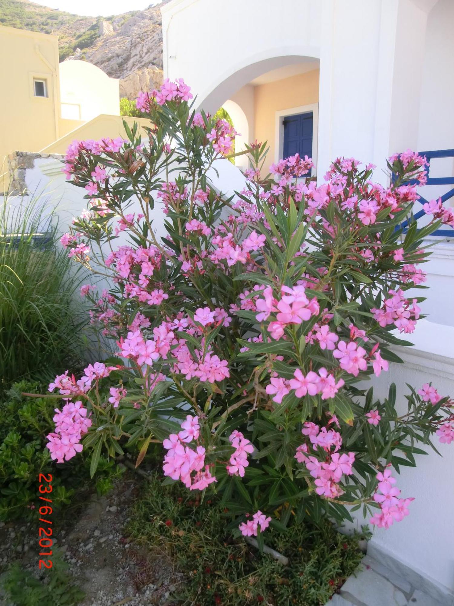 Aegean View Hotel Kamári Exterior foto
